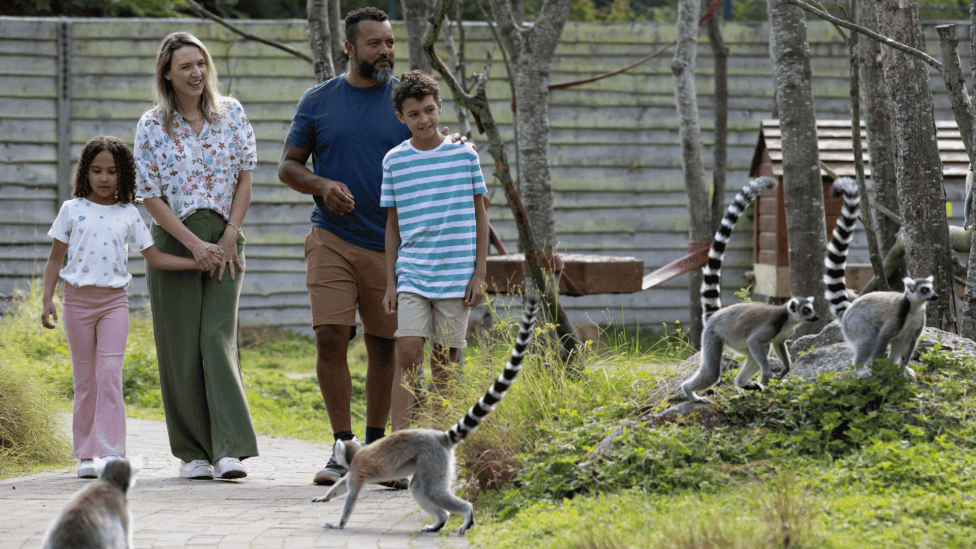 Emerald park near killeen castle www.killeencastle.com