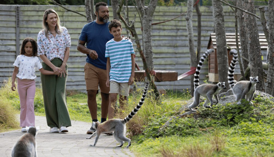 Emerald Park Zoo near Killeen Castle